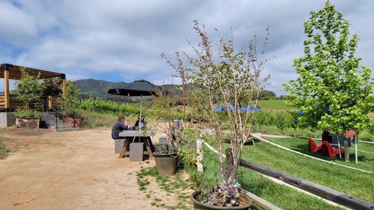 44145 d55e152e1308 768x432