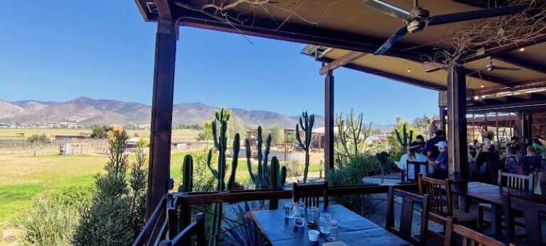 44177 830a7480c586 768x347