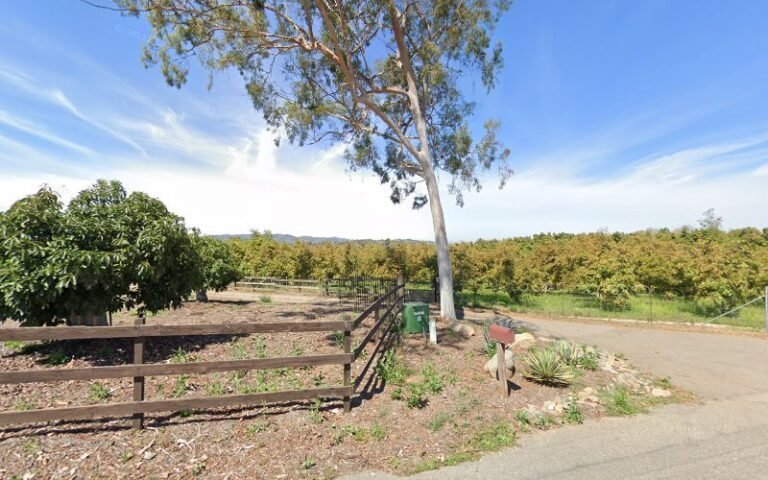 44185 bdc7a580a13b 768x480