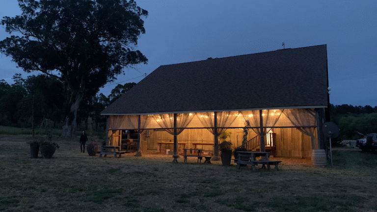 44243 c360d0c9e968 768x432