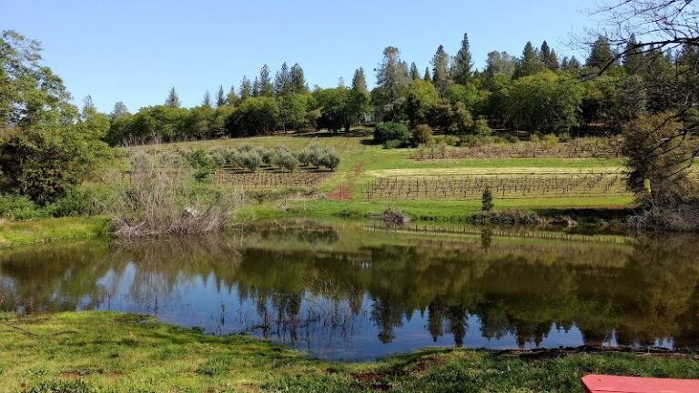 44413 ccfbb05632cd 768x432