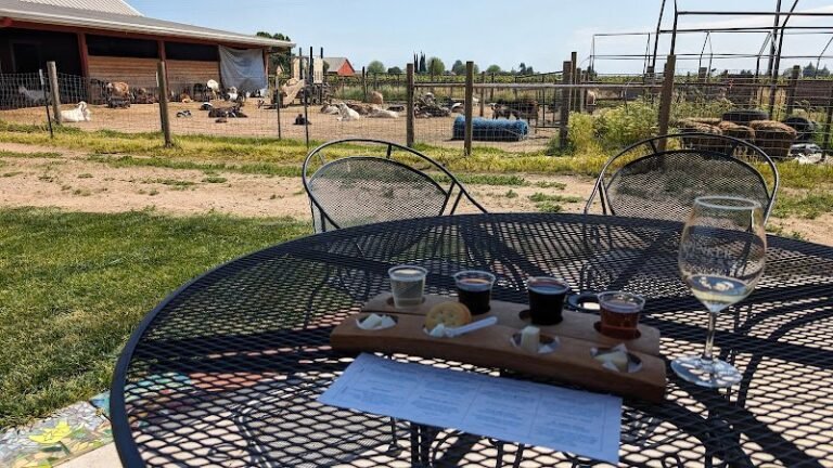 44532 bbf9f7e7923d 768x432