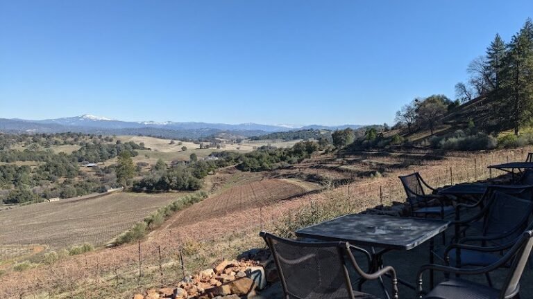 44582 42fa69c7c63d 768x432