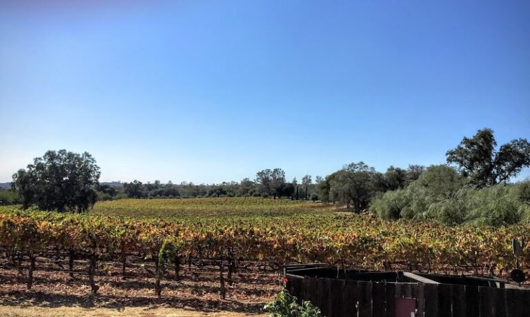 44588 6fbf36c314a9 768x460