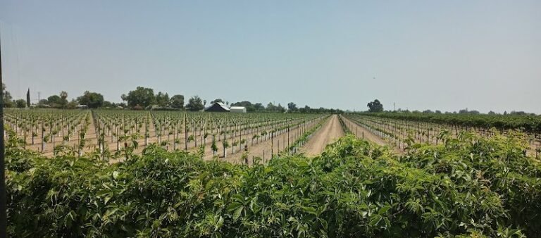 44627 b0dddf0cd970 768x338