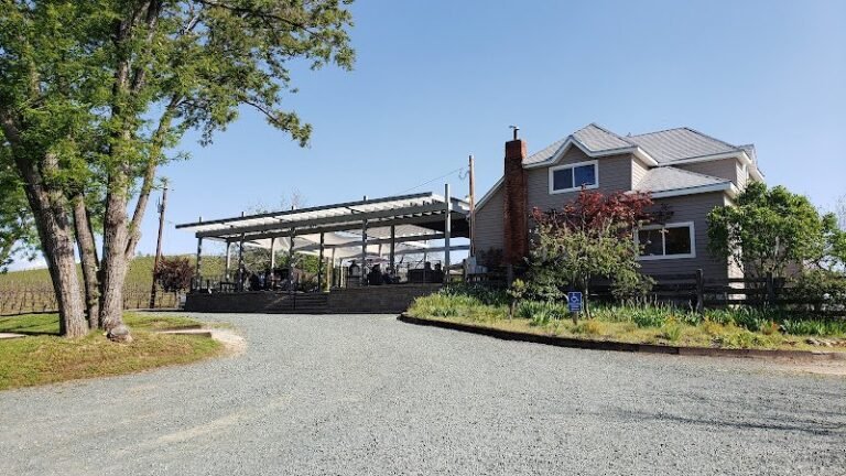 44653 b56f67448124 768x432