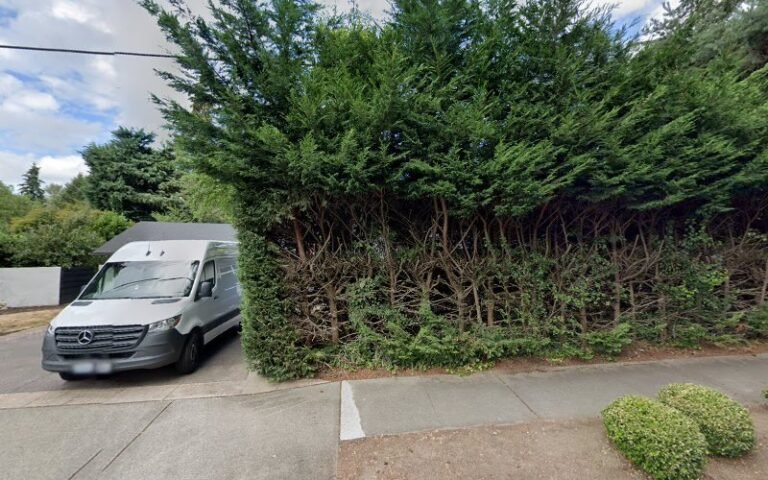 44714 6f680a56311b 768x480