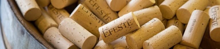 44718 2461dafa62fb 768x172