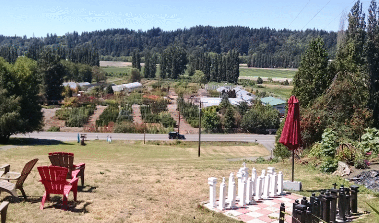 44792 9cd93dbb25ce 768x453