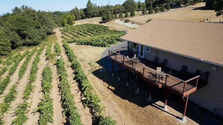 44927 2906ca60ea6e 768x432