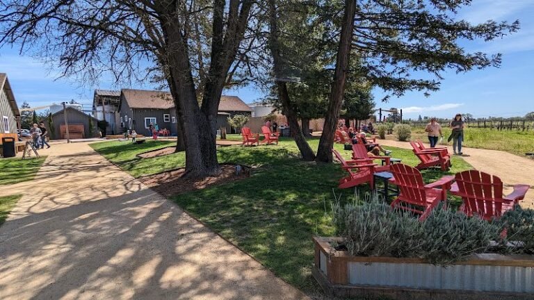 44981 1eabbd271595 768x432