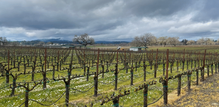 45011 395d8f6b1a53 768x375