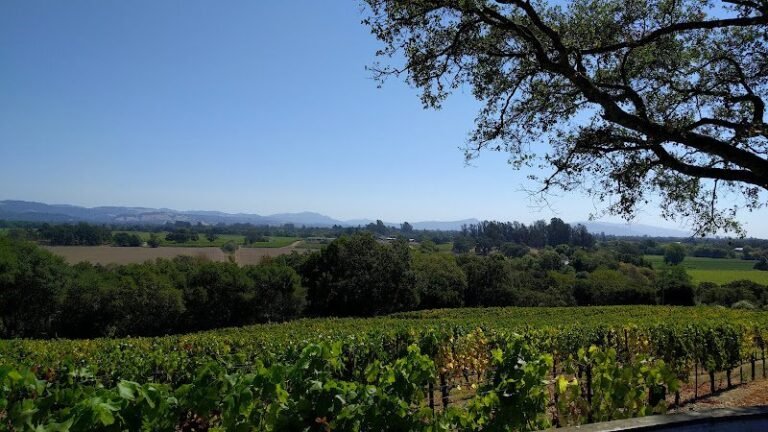 45015 dacc0398efa9 768x432