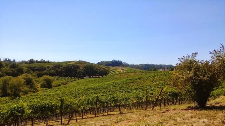 45071 0699c248e569 768x432