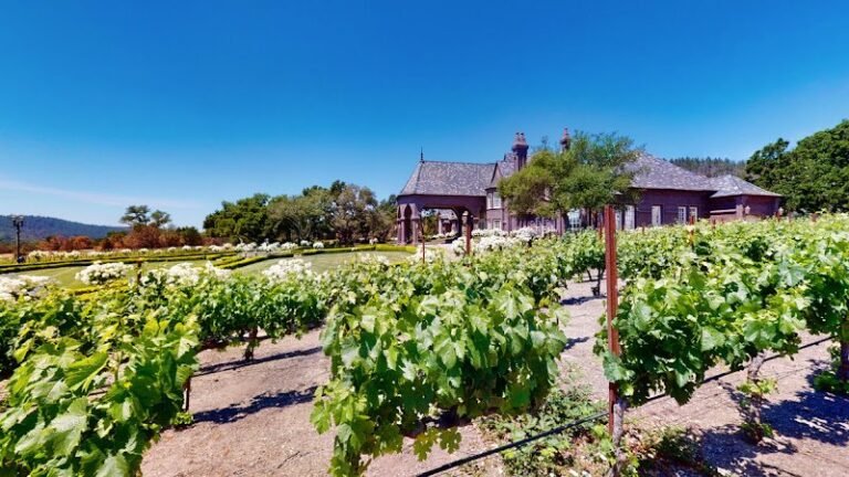 45116 3ed93c91d6a5 768x432