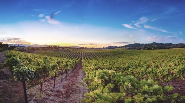 45122 0a6887edd837 768x426