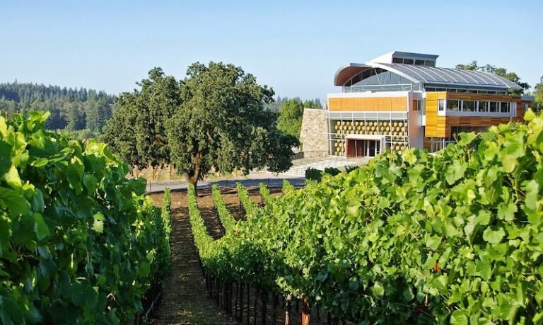 45148 fd28fd763246 768x459