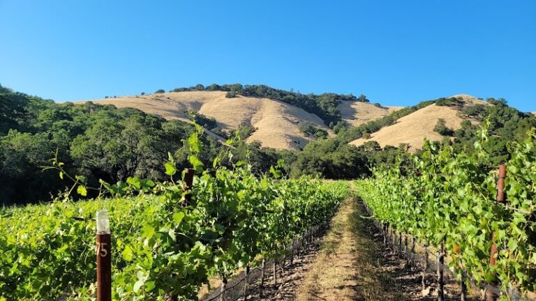 45202 b17a4037155e 768x432