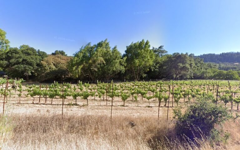 45219 6cbeb7044f66 768x480