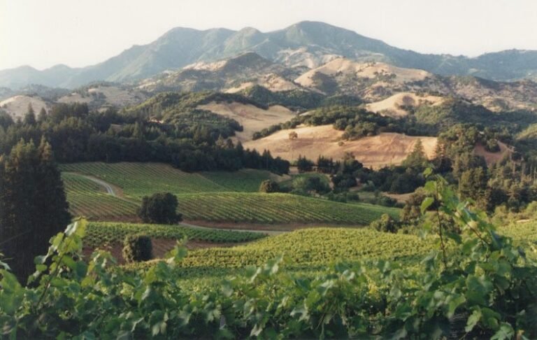 45225 d3afe04784aa 768x486