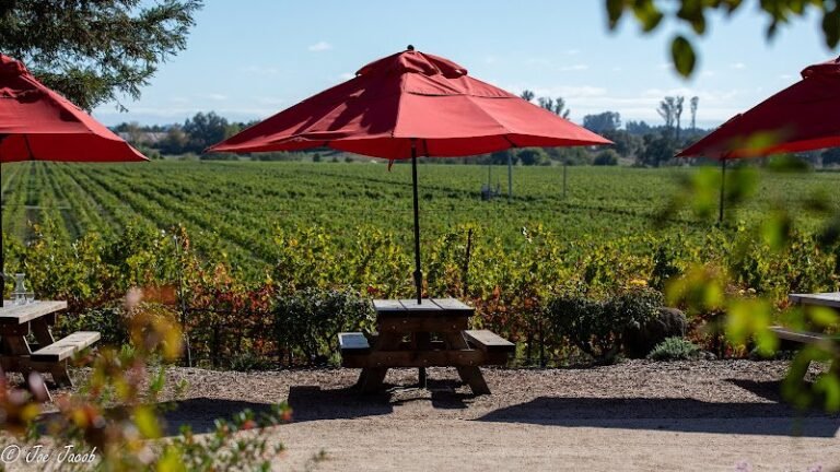 45230 89d0366fc45b 768x432