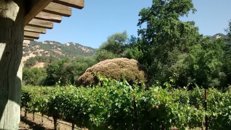 45270 3a4b5ba6edff 768x432