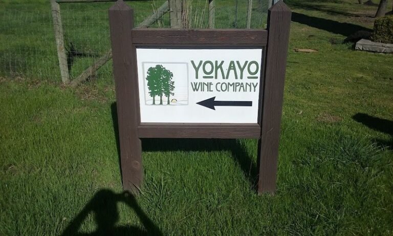 45299 51e4222b1dab 768x461