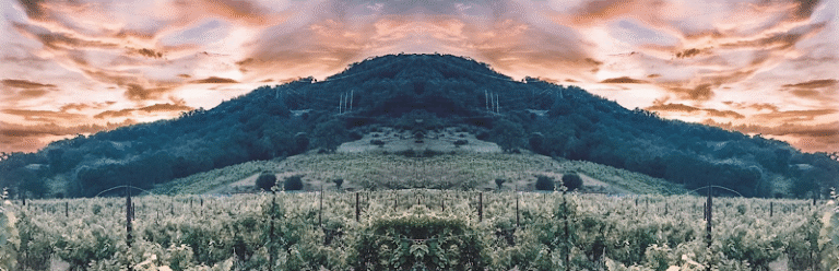 45326 f6213c4f9d2d 768x248