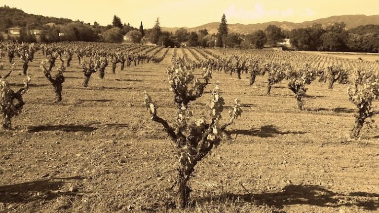 45349 015d654a5397 768x432