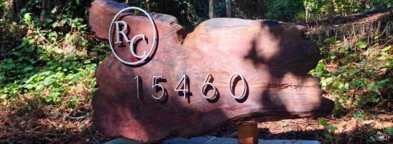 45405 f8f47259953a 768x281