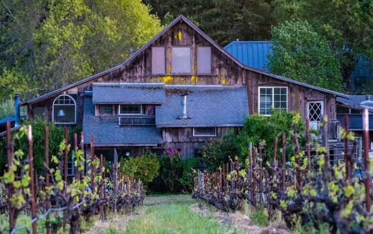 45477 4c2e963f4139 768x482