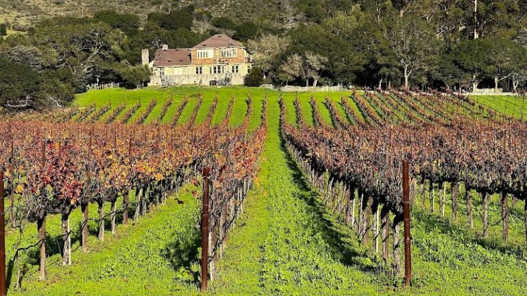 45507 ac54aa6df750 768x432