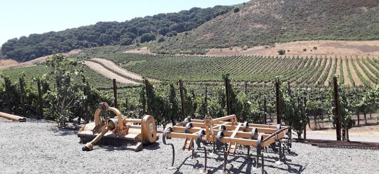 45521 244f48d6ee27 768x353