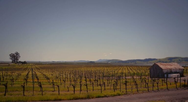 45570 57dde6168289 768x420