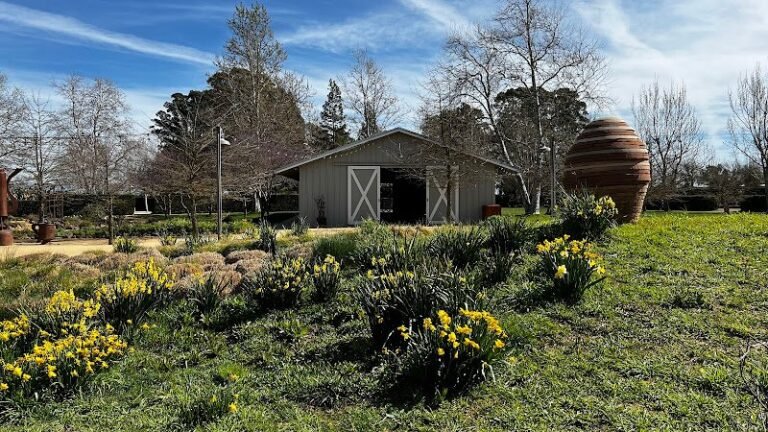 45576 e19e7e181a4e 768x432