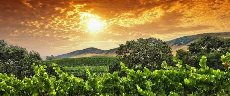 45588 187efcad7683 768x321