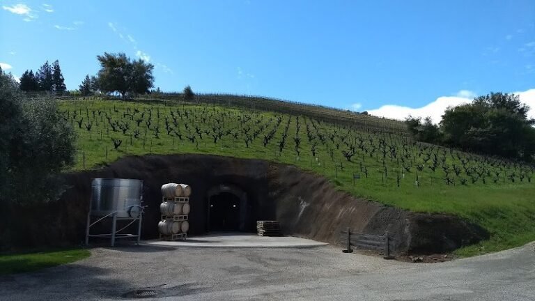 45635 3a38e01cfa52 768x432