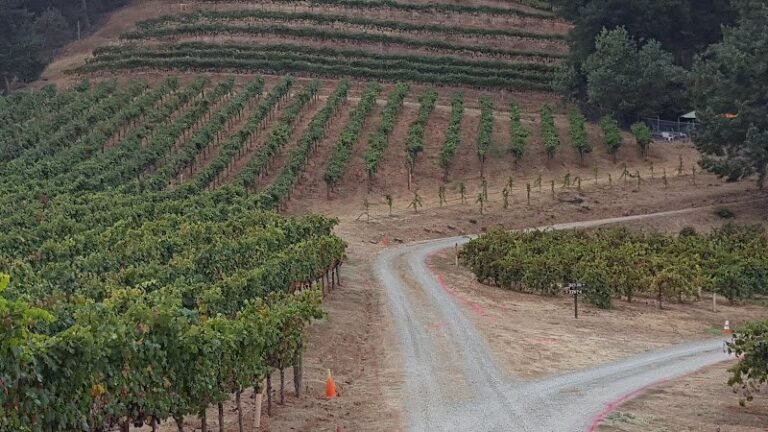 45666 61fef34c1fea 768x432