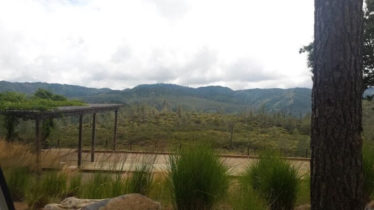 45684 f7bdfbea56e7 768x432