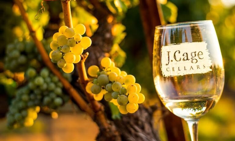 45713 14bfb856c6b1 768x463