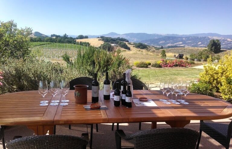 45717 ce7fcc836ddd 768x494