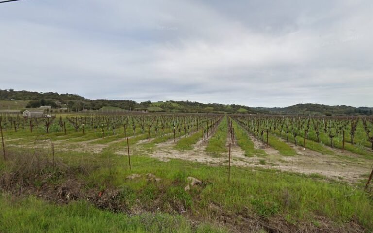 45727 d5cb7a357b11 768x480