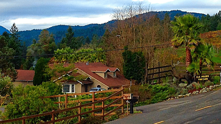 45779 580d7b42d732 768x432