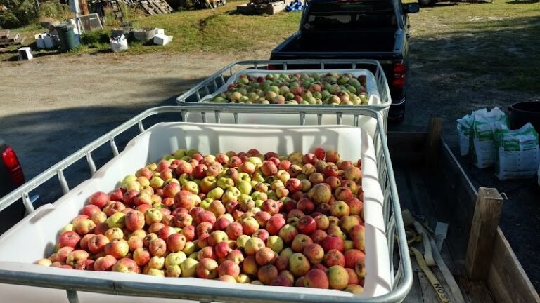 45812 ed0784fce391 768x432