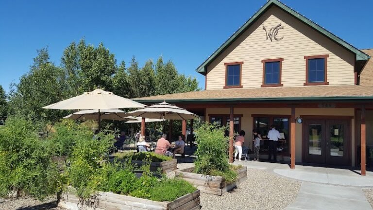 45862 ed5d0011e33e 768x432