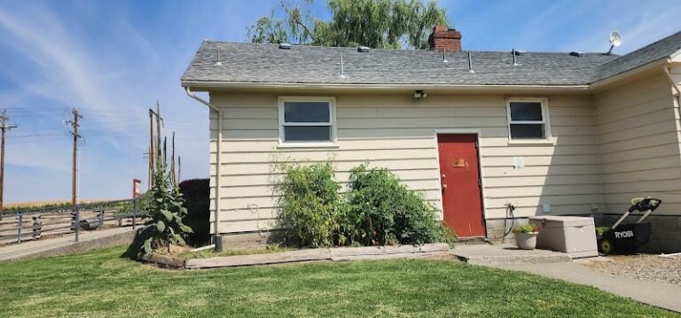 45891 8171bee3d996 768x359