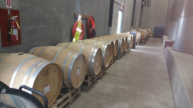 45916 cf0b0a0022b6 768x432