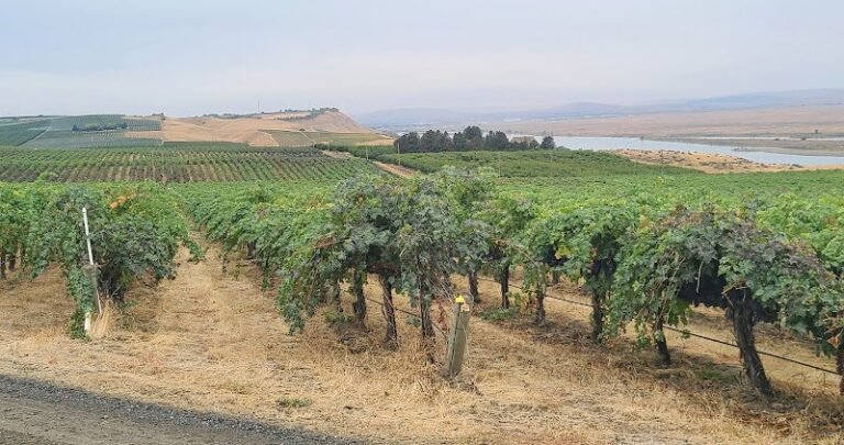 45930 05b873cfe3b4 768x405