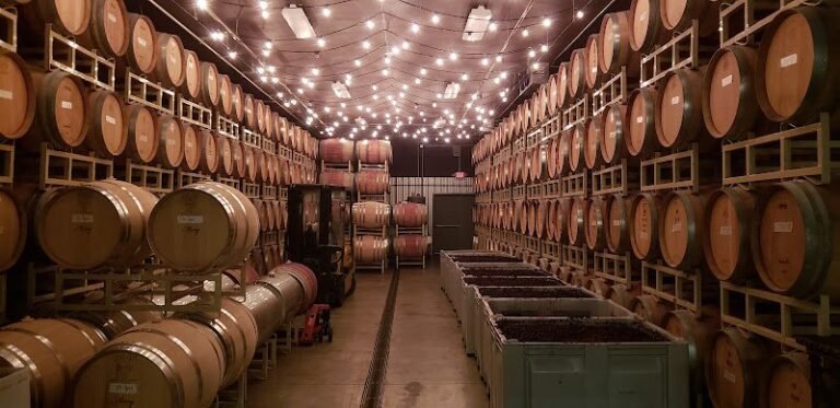 45992 003ace24f7e3 768x373