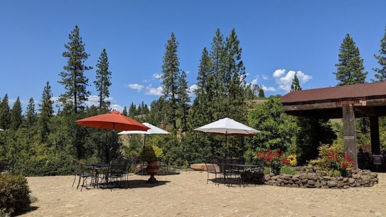 46091 b6f2856a3eae 768x432